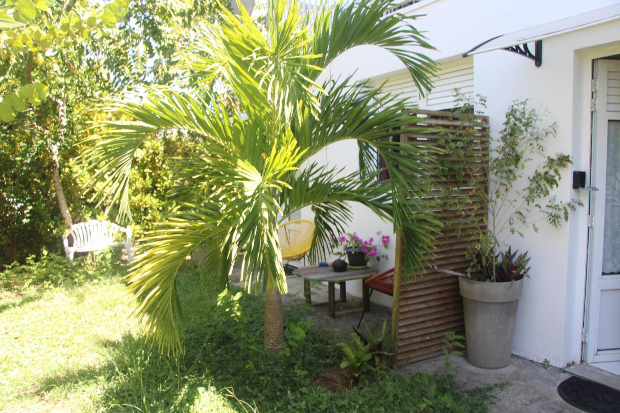 Le Colibri Et Le Frangipanier Apartment La Trinite Exterior photo